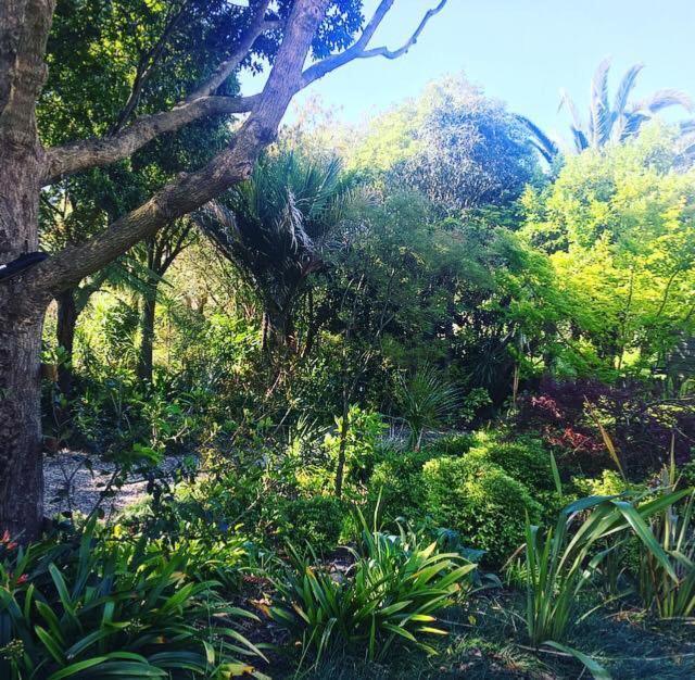 Uniqueness Otel Tauranga Dış mekan fotoğraf